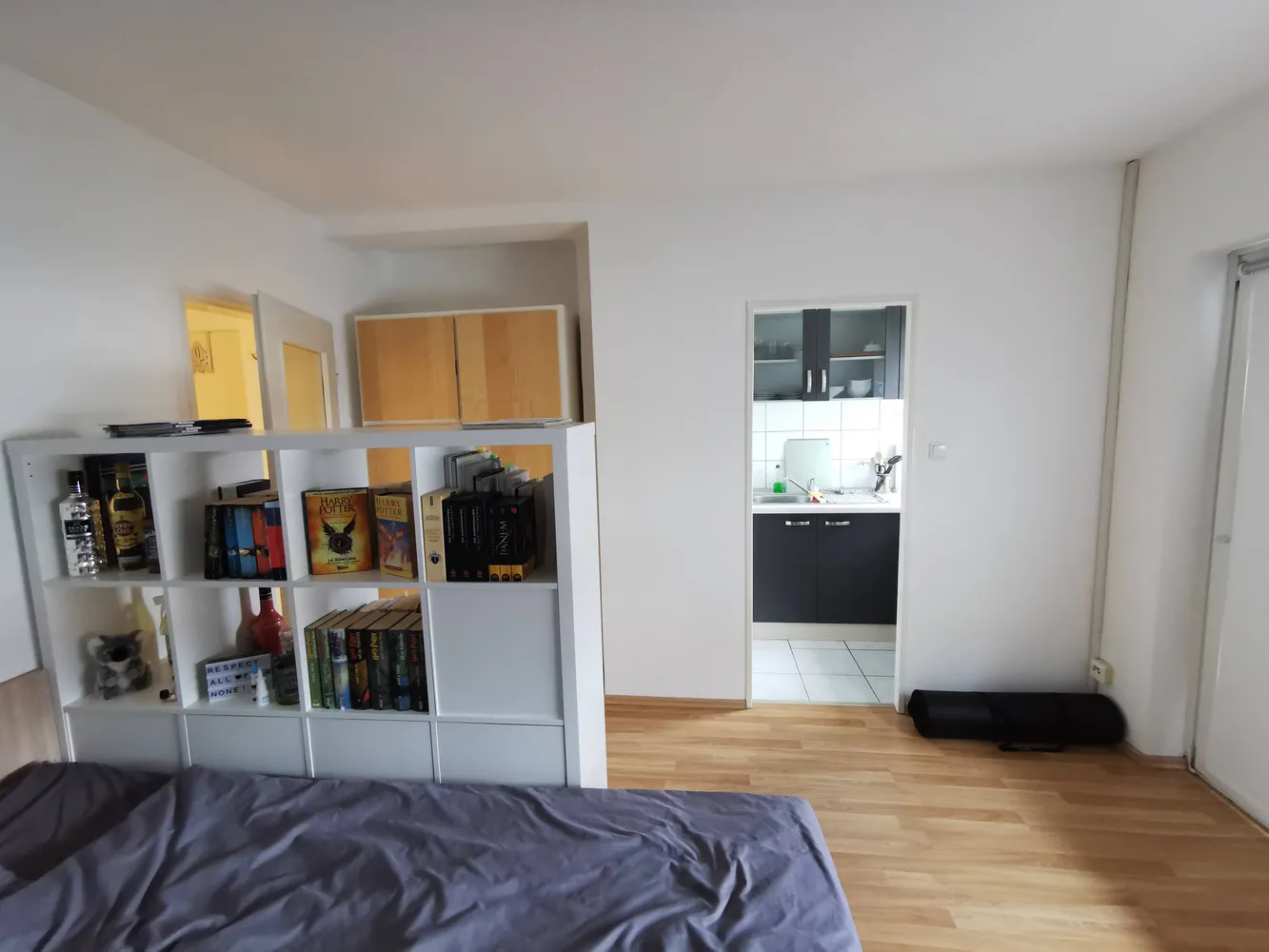 1 Zimmer Wohnung mit 27 m² in Darmstadt – Bild 1