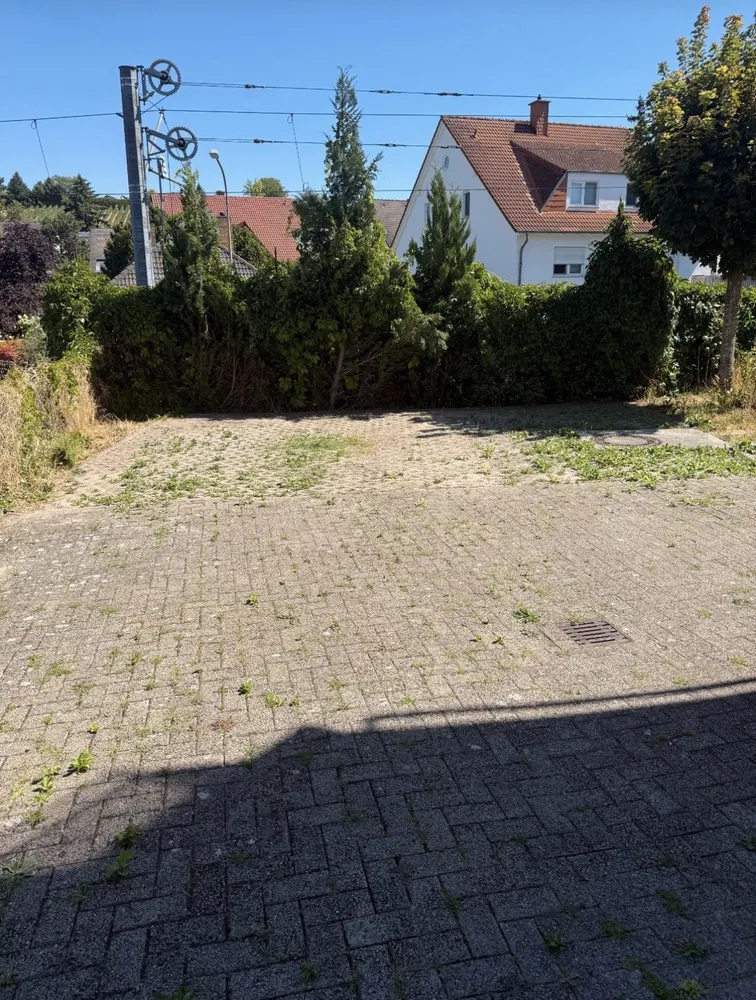 2 Zimmer Wohnung mit 50 m² in Mainz – Bild 3