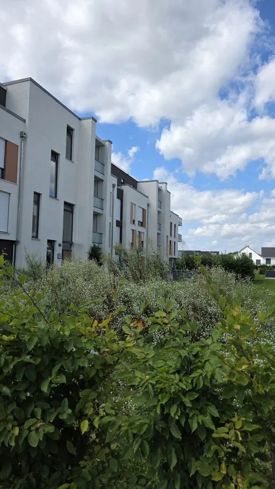 2 Zimmer Wohnung mit 61 m² in Braunschweig – Bild 1