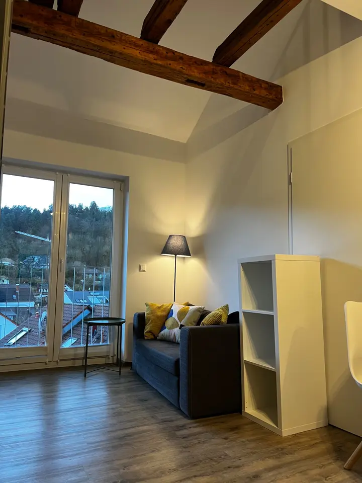 2 Zimmer Wohnung mit 38 m² in Weinheim – Bild 2