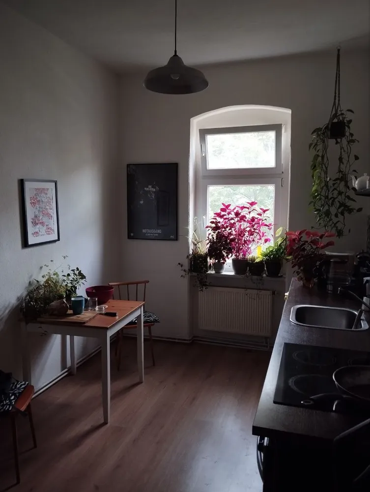 2 room apartment with 57 m² in Halle (Saale) – Photo 4