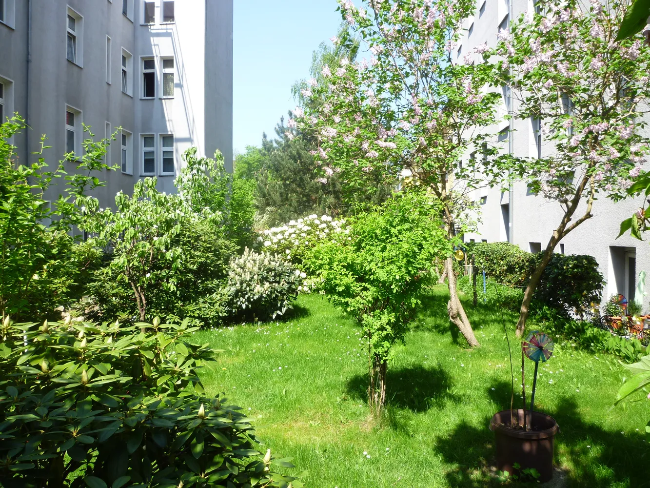 2 room apartment with 46 m² in Berlin – Photo 4