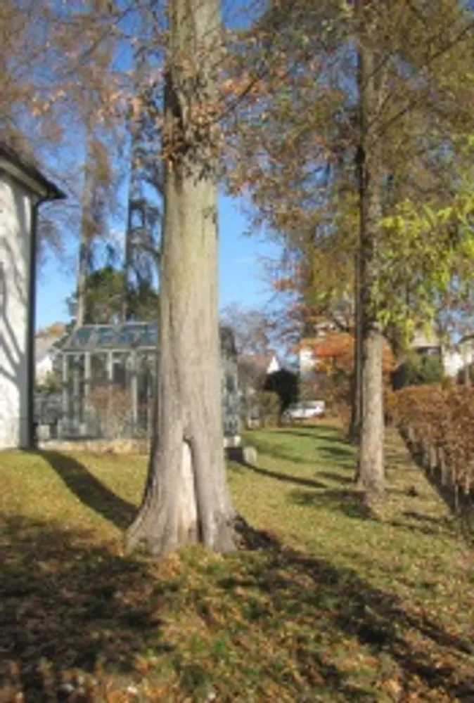 3 Zimmer Wohnung mit 70 m² in Nürnberg – Bild 6