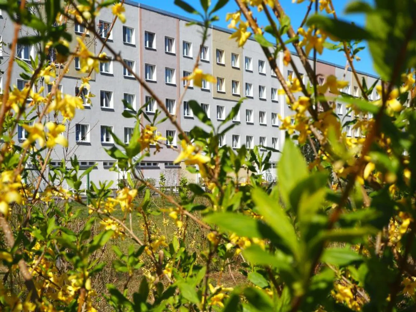 3 Zimmer Wohnung mit 58 m² in Eberswalde – Bild 3