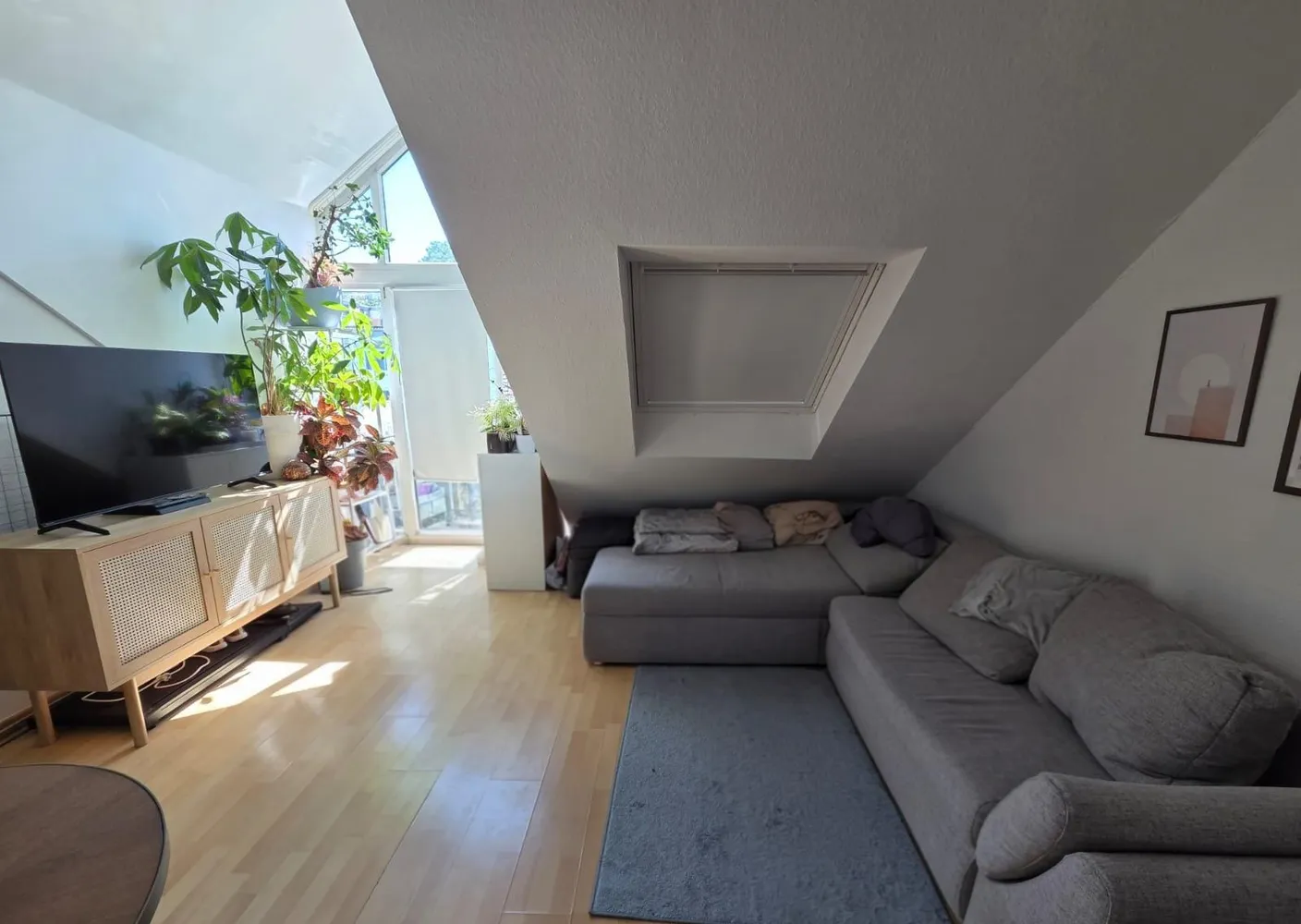 2 Zimmer Wohnung mit 50 m² in Bonn – Bild 7