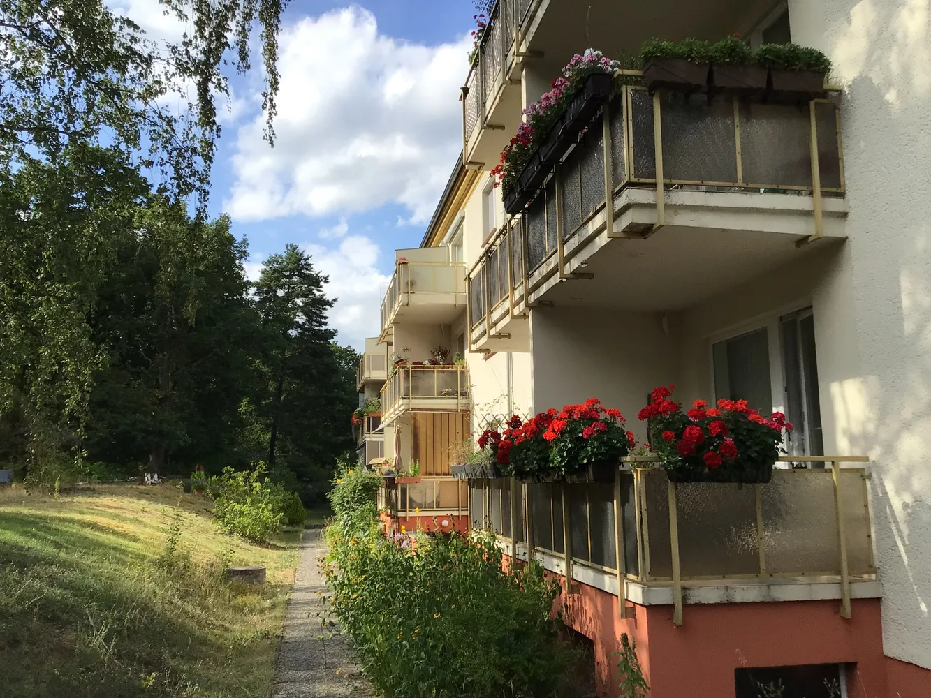 4 Zimmer Wohnung mit 80 m² in Potsdam – Bild 2