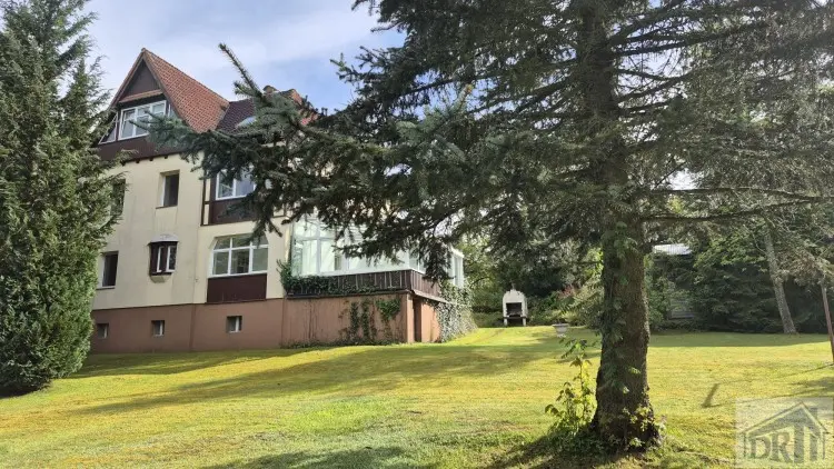 4 room apartment with 122 m² in Zittau – Photo 8
