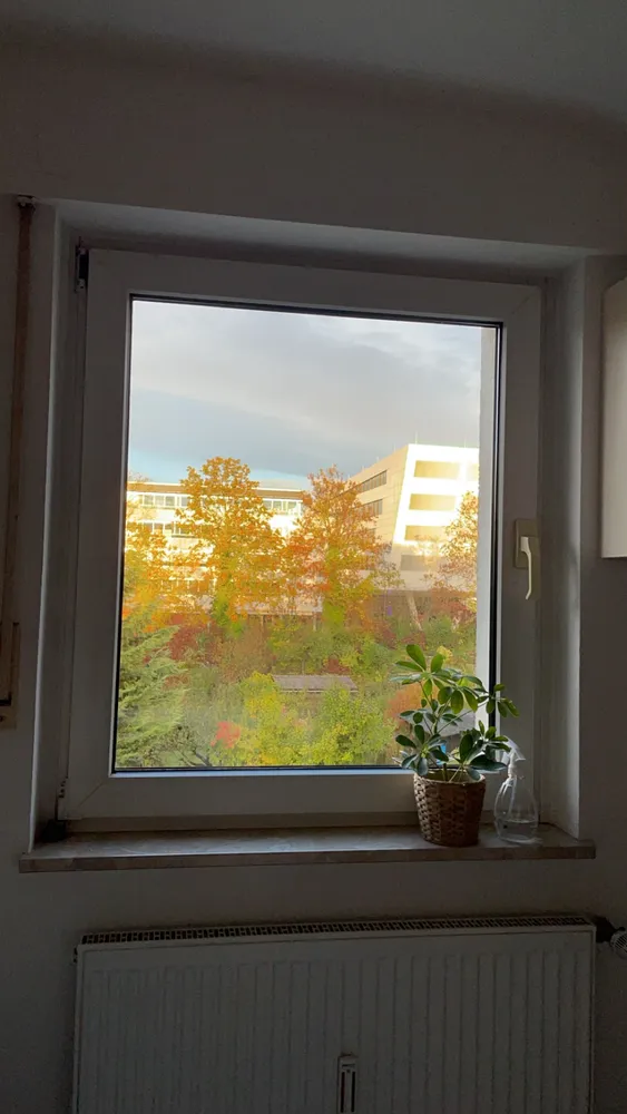 3 Zimmer Wohnung mit 44 m² in Karlsruhe – Bild 3