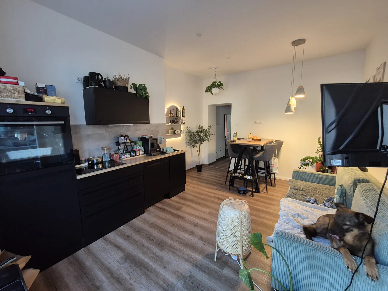 3 room apartment with 36 m² in Erfurt – Photo 1