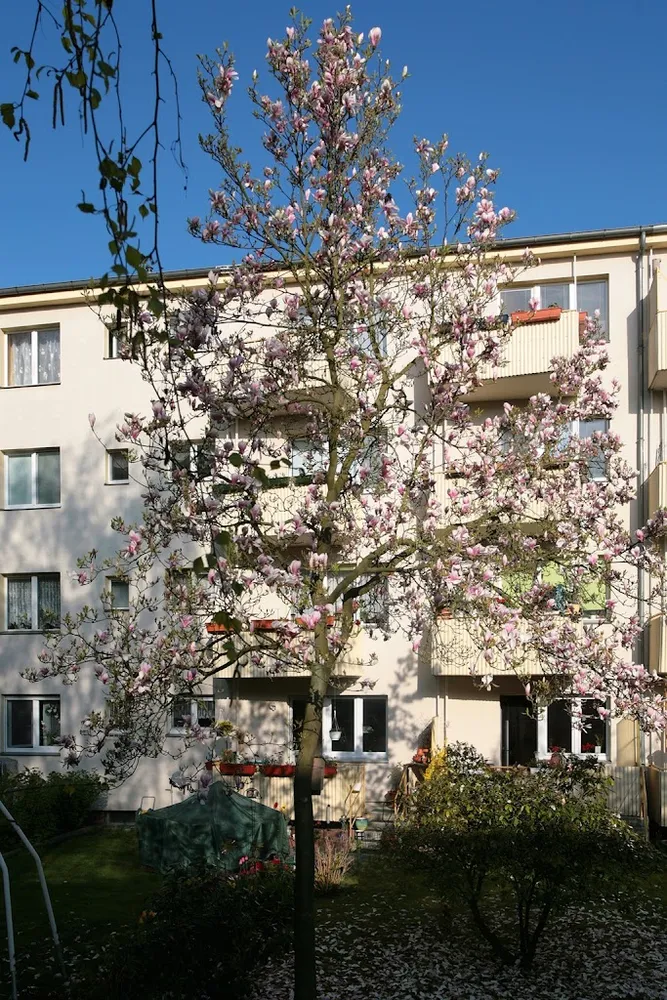 2 Zimmer Wohnung mit 63 m² in Berlin – Bild 1