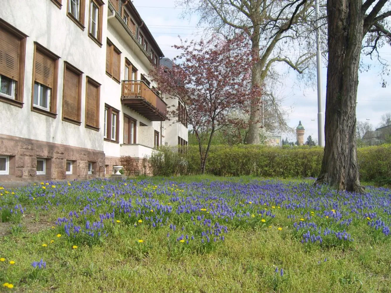 3 Zimmer Wohnung mit 75 m² in Wiesbaden – Bild 9