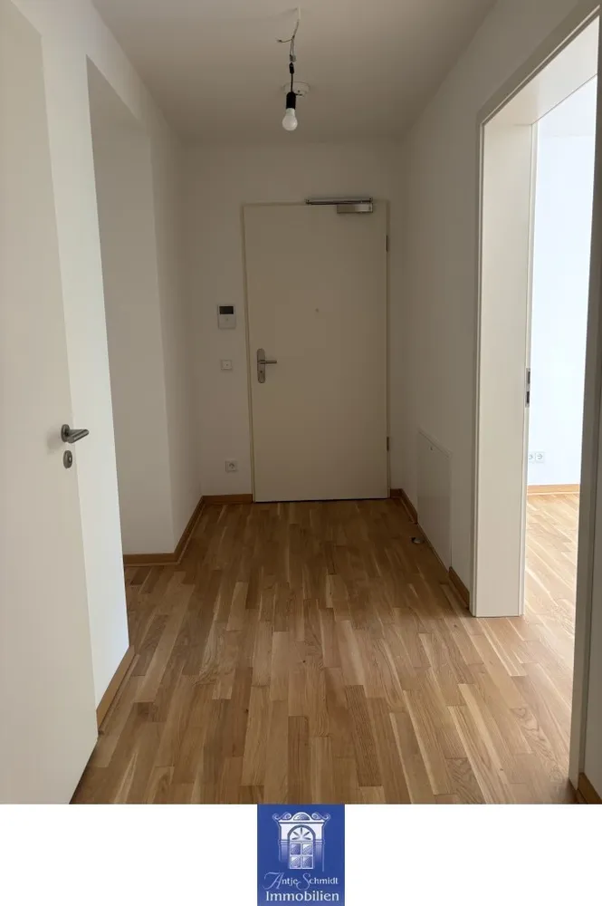 2 room apartment with 58 m² in Dresden – Photo 10