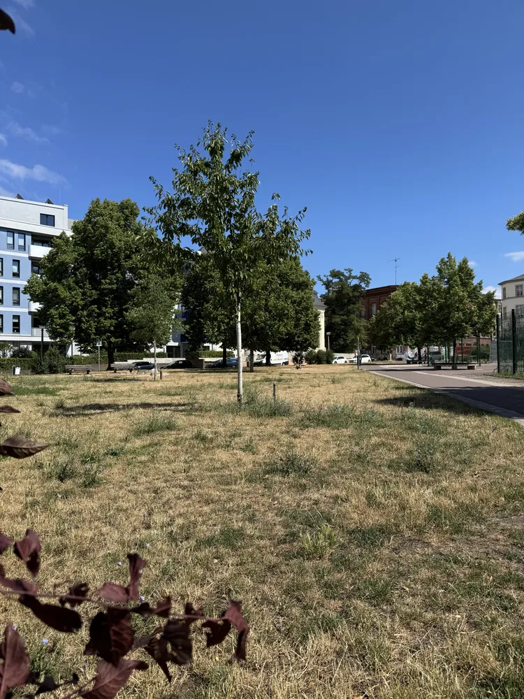 5 Zimmer Wohnung mit 128 m² in Halle (Saale) – Bild 3