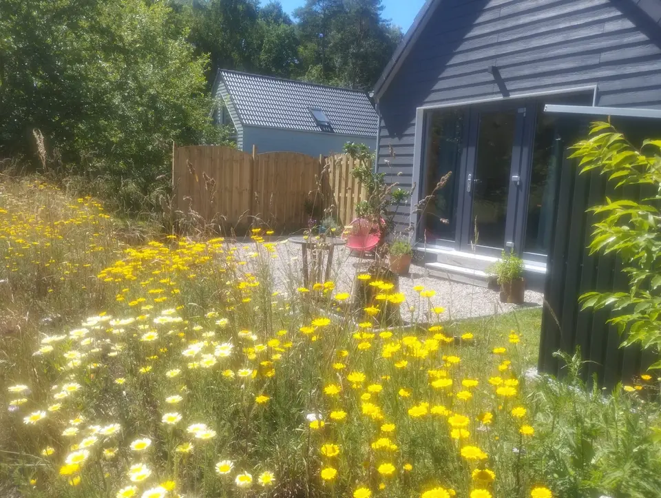 1 Zimmer Haus mit 39 m² in Neumünster – Bild 1