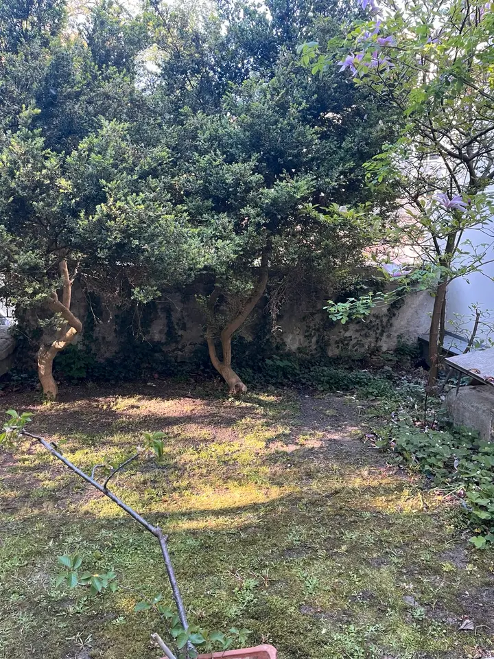 WG-Zimmer mit 140 m² in Regensburg – Bild 6