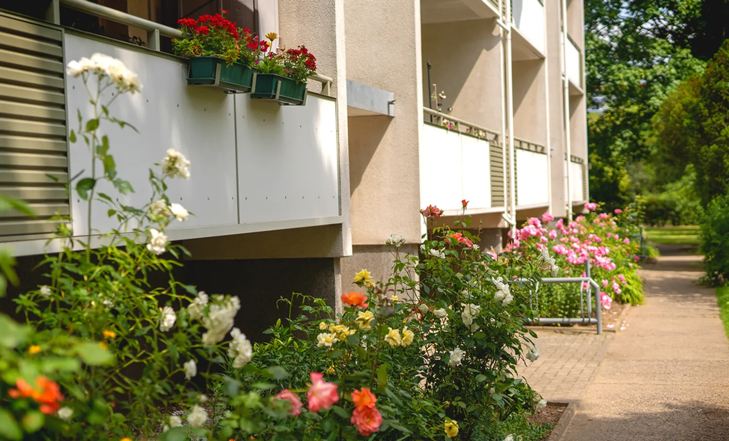 3 Zimmer Wohnung mit 63 m² in Neubrandenburg – Bild 1
