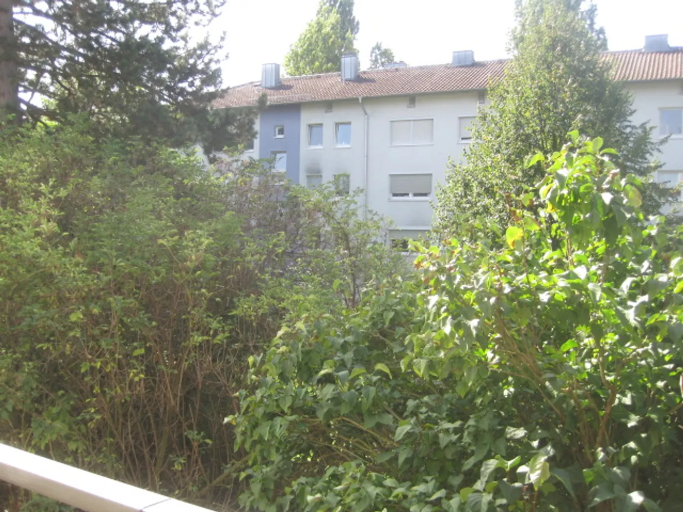 3 Zimmer Wohnung mit 65 m² in Frankfurt am Main – Bild 7