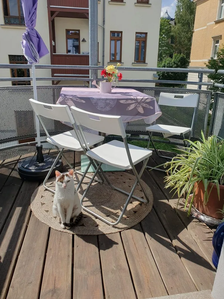2 Zimmer Wohnung mit 50 m² in Borna – Bild 6