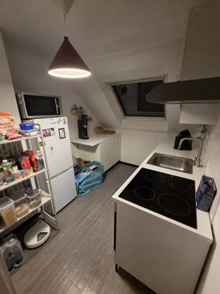 3 Zimmer Wohnung mit 55 m² in Dortmund – Bild 5