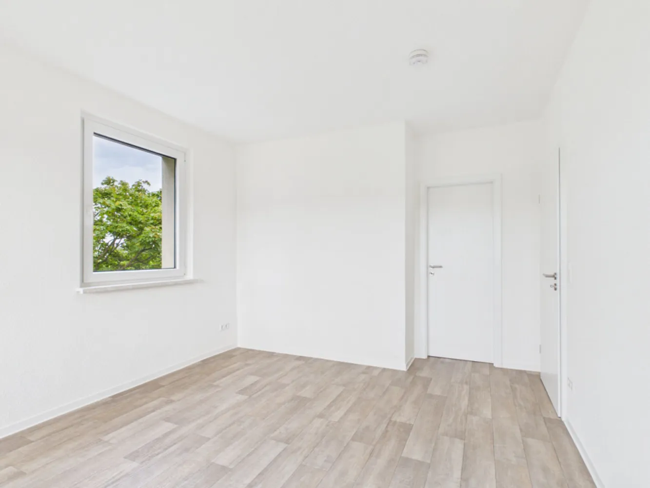 3 room apartment with 58 m² in Chemnitz – Photo 1