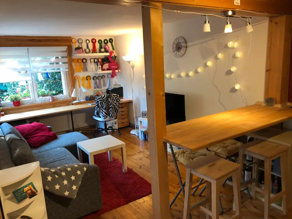 2 Zimmer Haus mit 45 m² in Mittweida – Bild 2