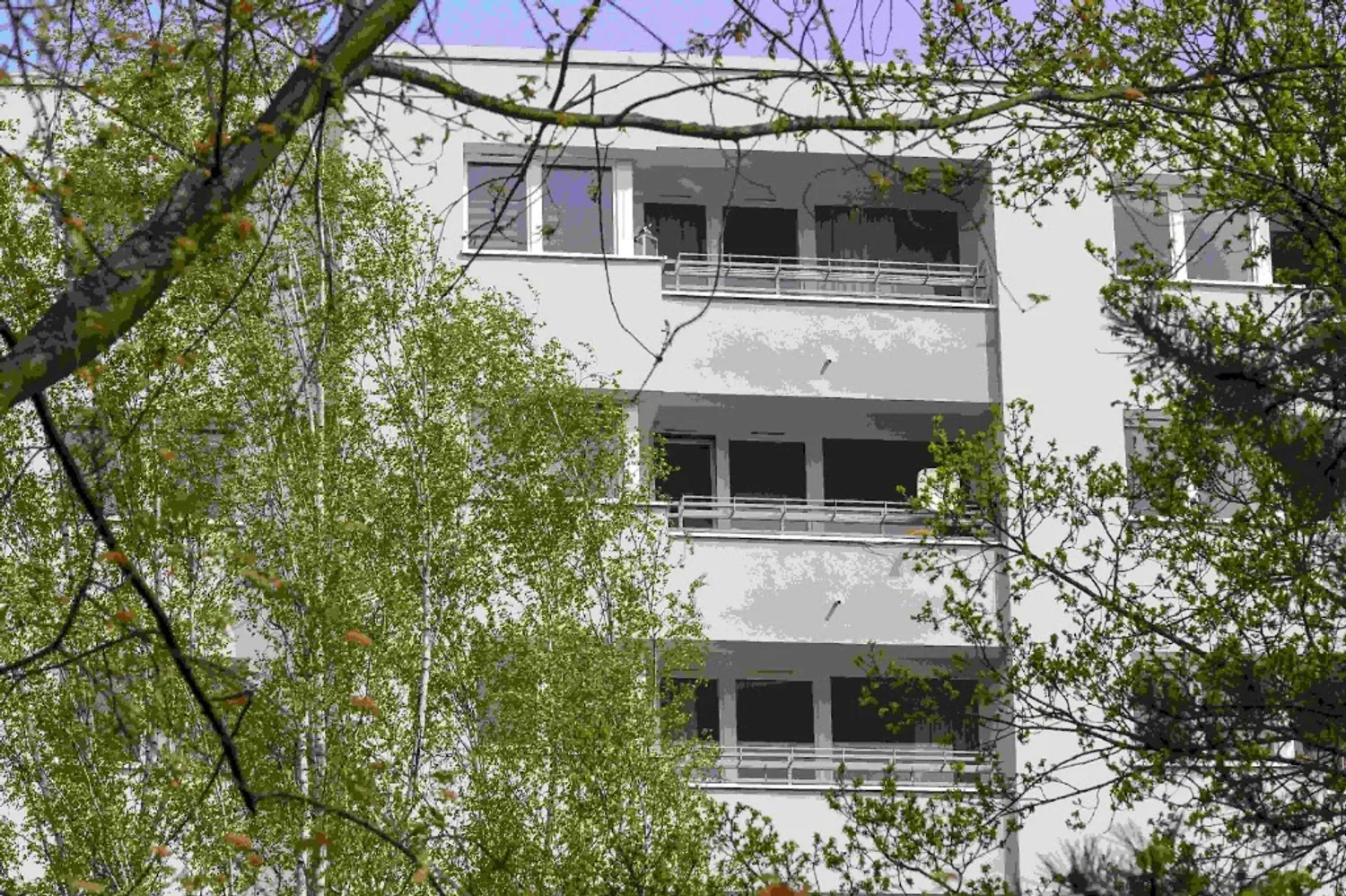 2 Zimmer Wohnung mit 66 m² in Berlin – Bild 3