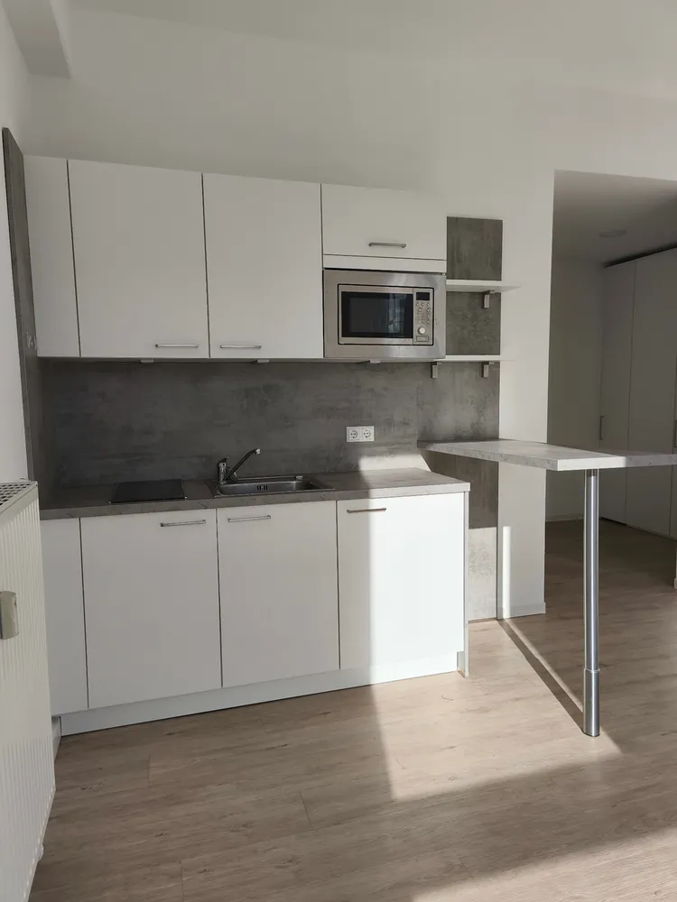 1 room apartment with 28 m² in Hanover – Photo 1