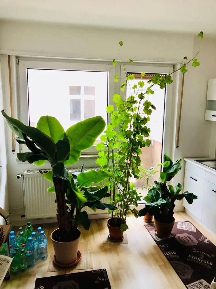 1 Zimmer Wohnung mit 42 m² in Mannheim – Bild 4