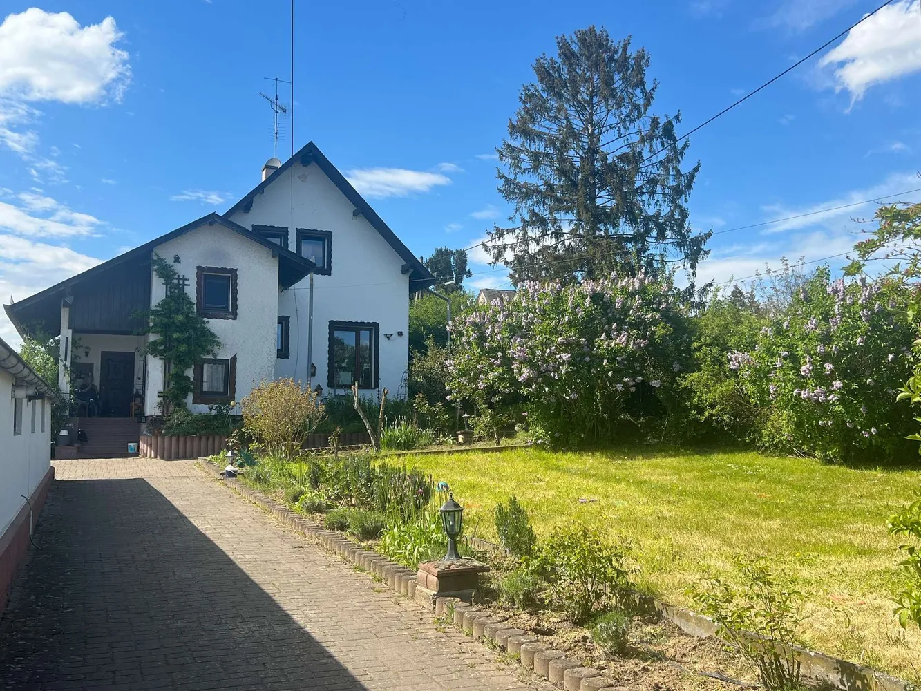 10 Zimmer Haus mit 290 m² in Wiesbaden – Bild 3