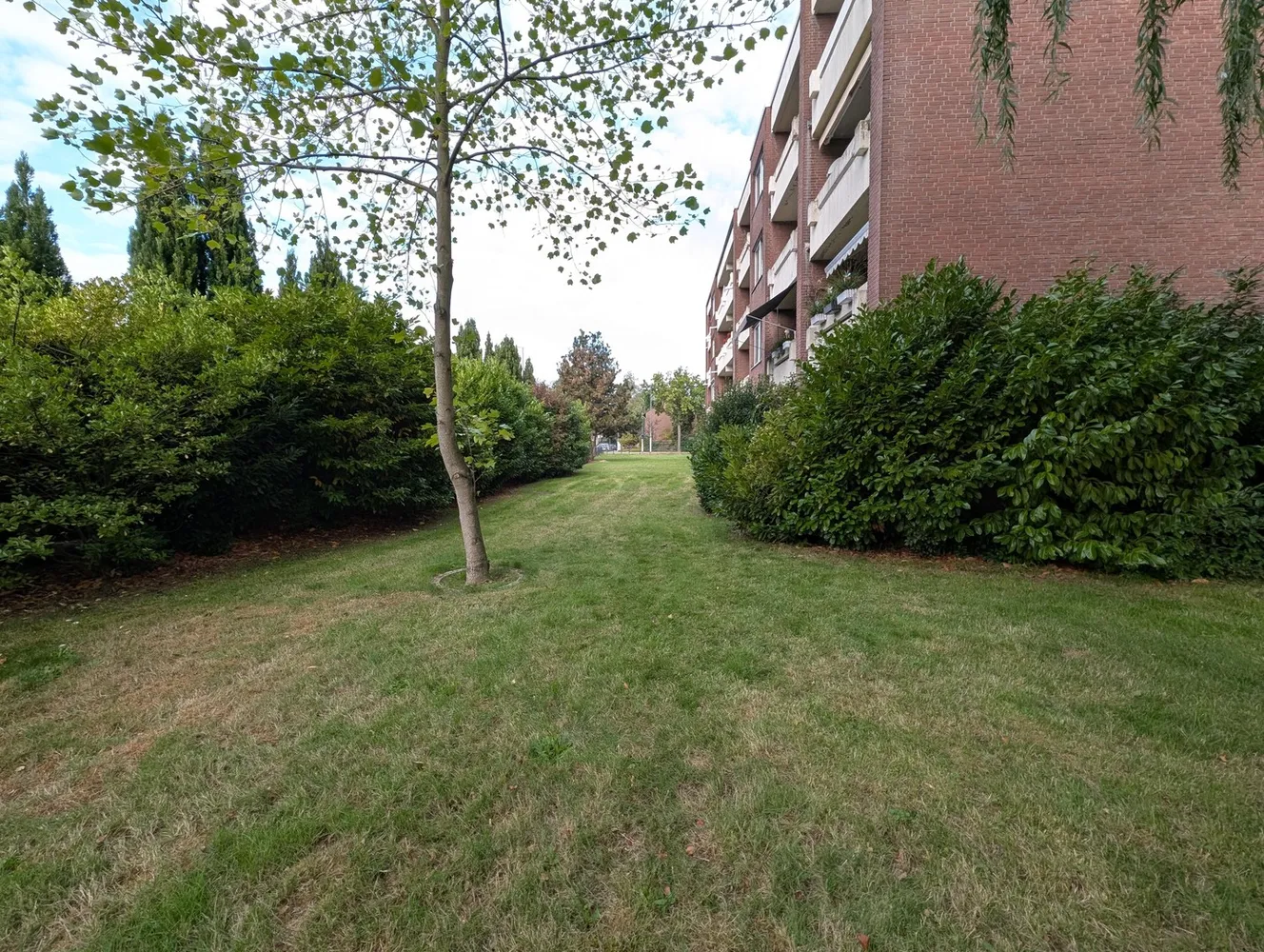 1 room apartment with 43 m² in Krefeld – Photo 11
