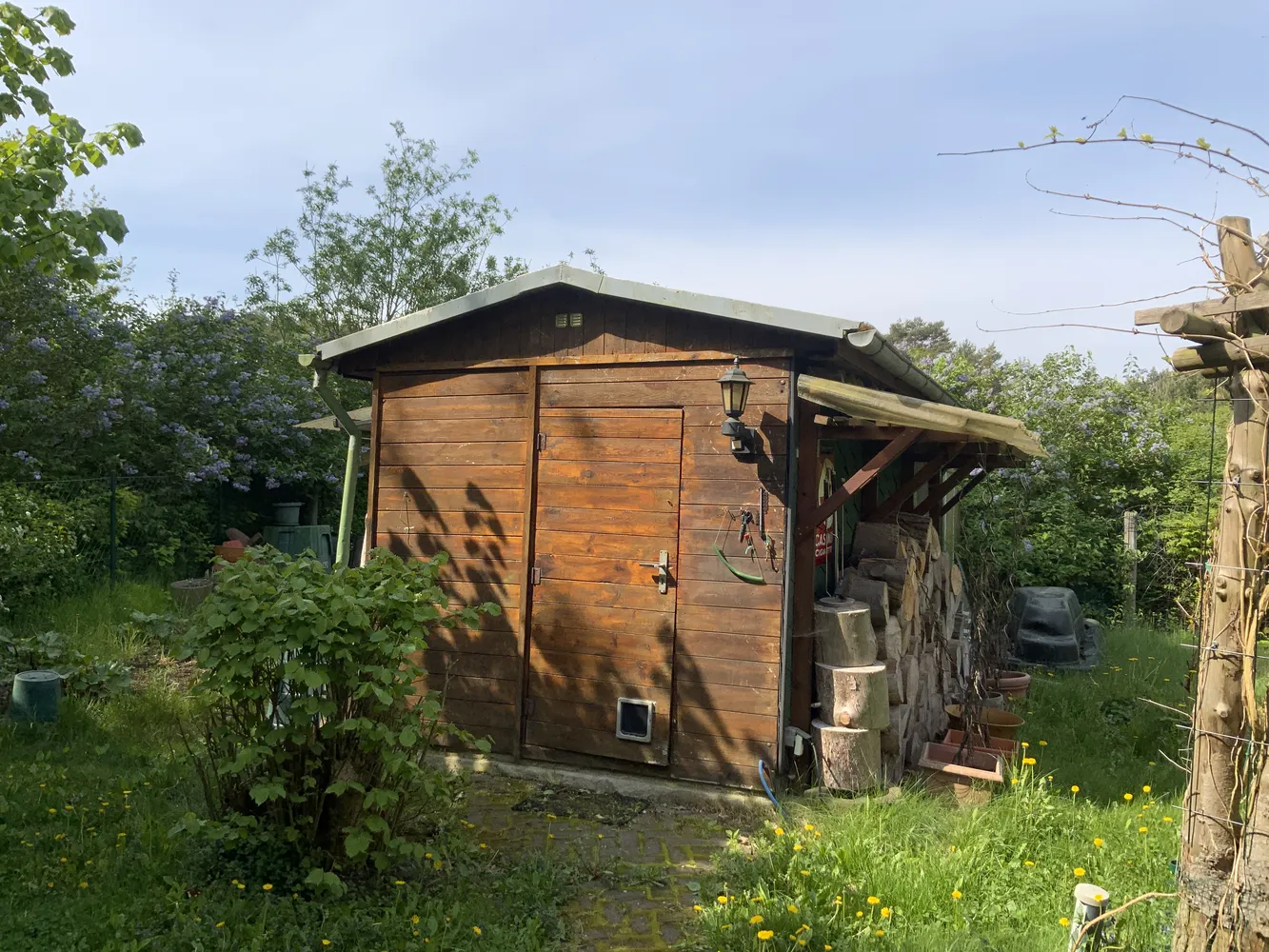 3 Zimmer Haus mit 100 m² in Wittenberg – Bild 6