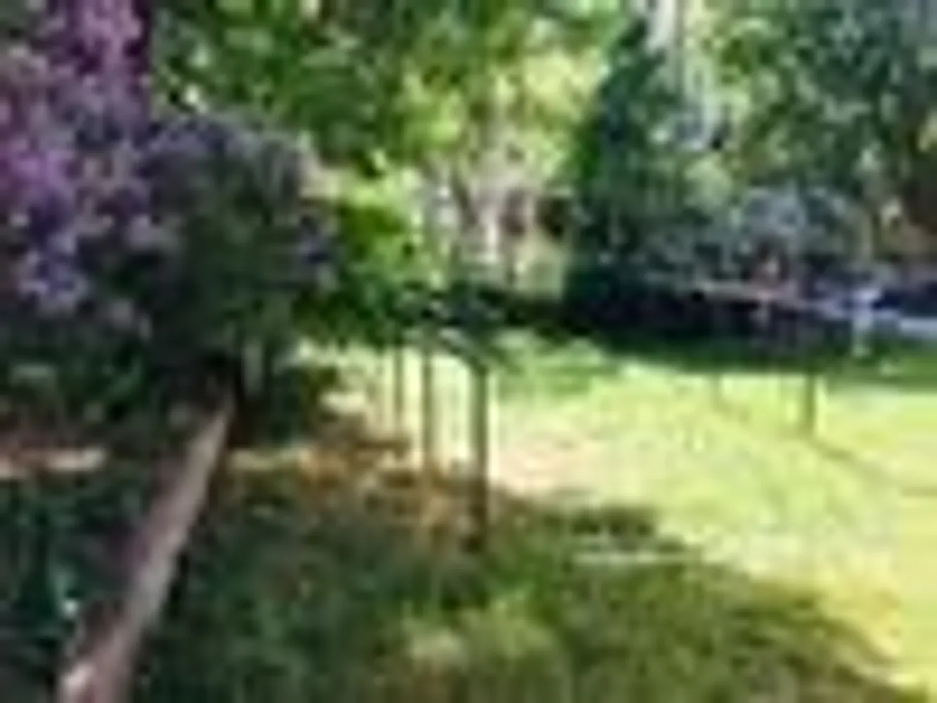 3 Zimmer Wohnung mit 62 m² in Dresden – Bild 11
