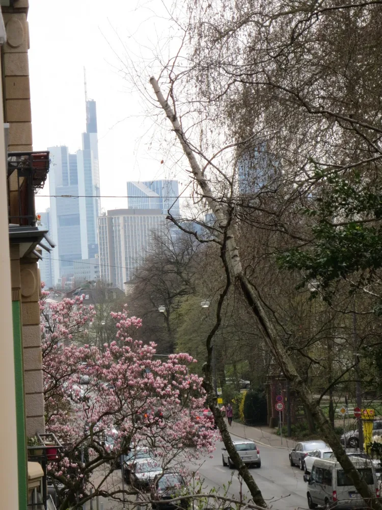 2 Zimmer Wohnung mit 49 m² in Frankfurt am Main – Bild 1