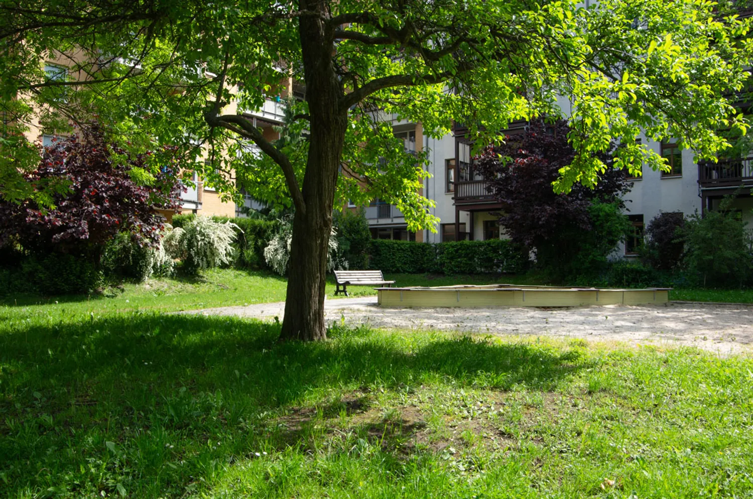 2 Zimmer Wohnung mit 42 m² in Chemnitz – Bild 9