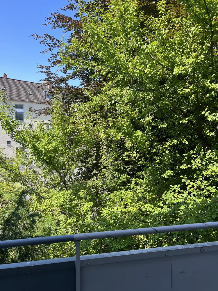 2 Zimmer Wohnung mit 53 m² in Essen – Bild 2