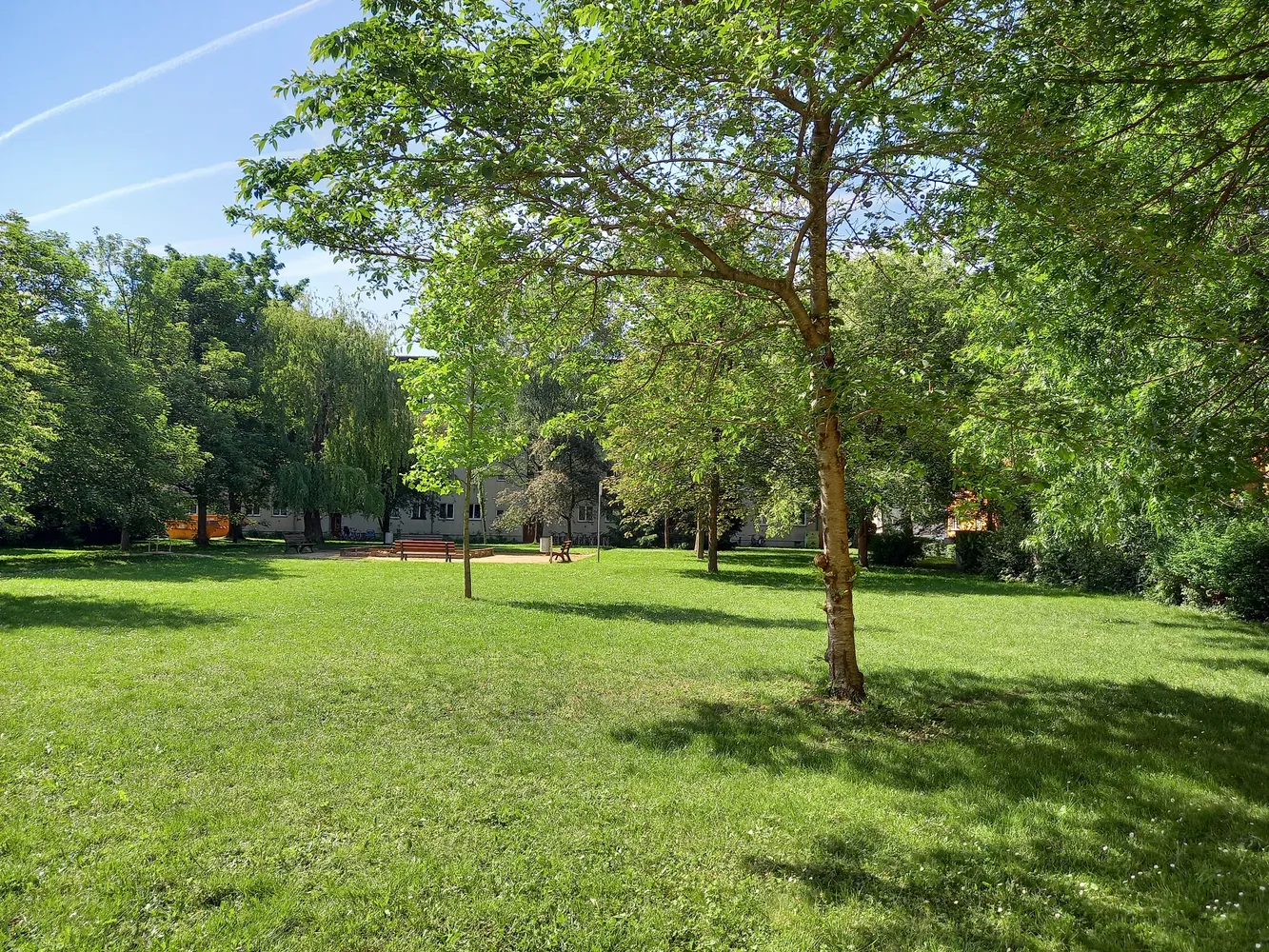 3 Zimmer Wohnung mit 64 m² in Dresden – Bild 9