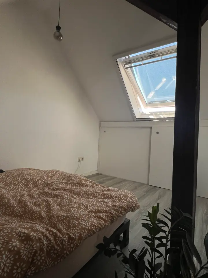 2 Zimmer Wohnung mit 65 m² in Erfurt – Bild 4