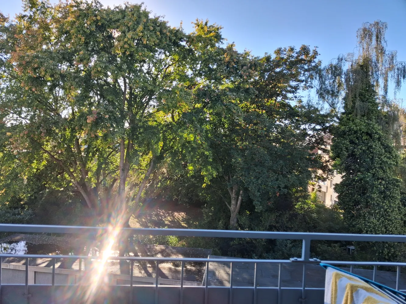 2 Zimmer Wohnung mit 33 m² in Mönchengladbach – Bild 1