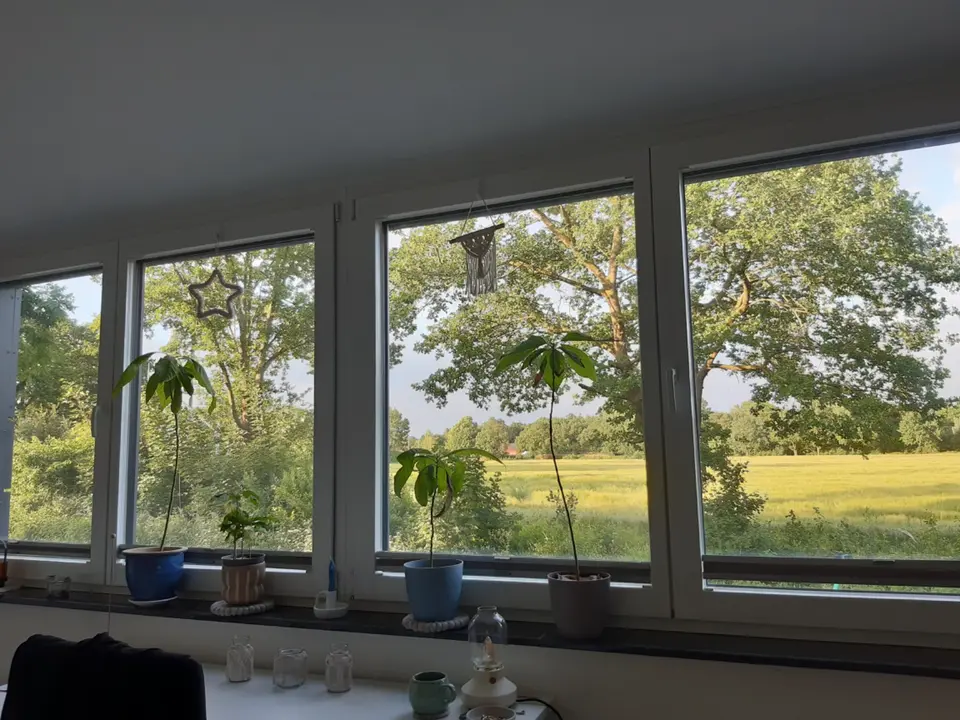 WG-Zimmer mit 93 m² in Greven – Bild 5