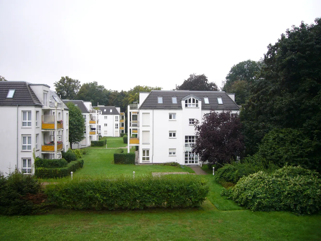 1 room apartment with 35 m² in Chemnitz – Photo 5