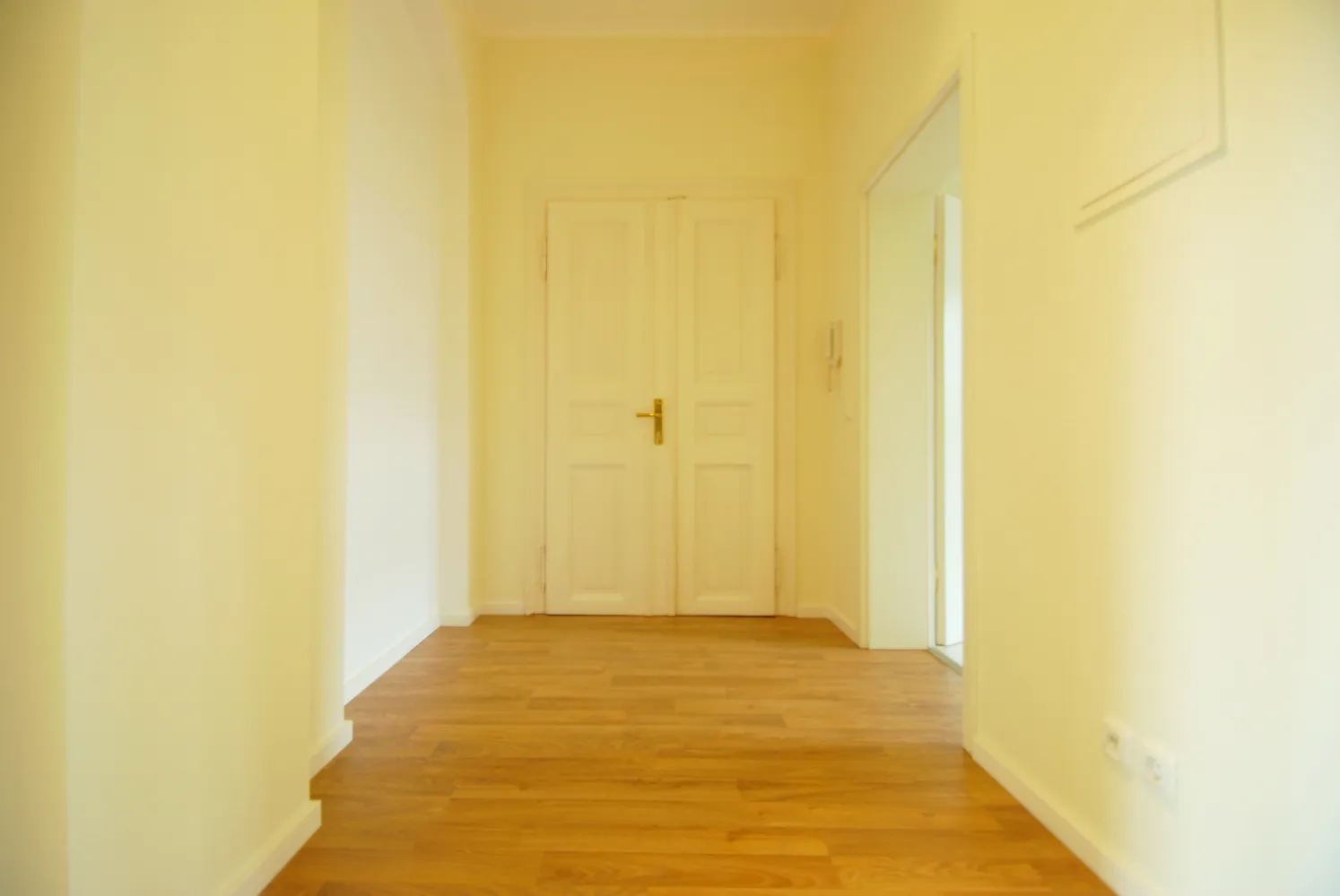 2 room apartment with 54 m² in Dresden – Photo 2