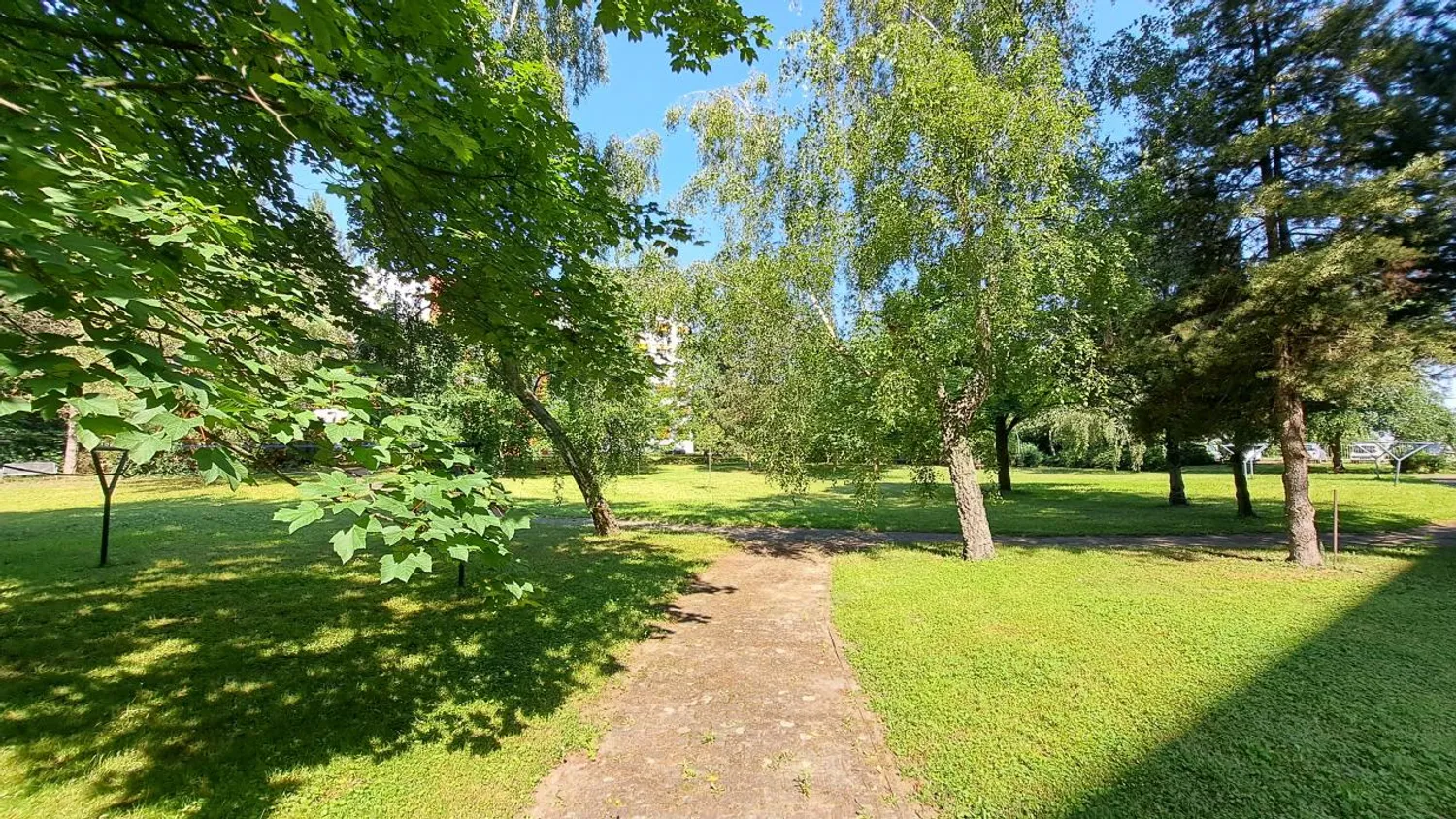 1 room apartment with 36 m² in Magdeburg – Photo 10