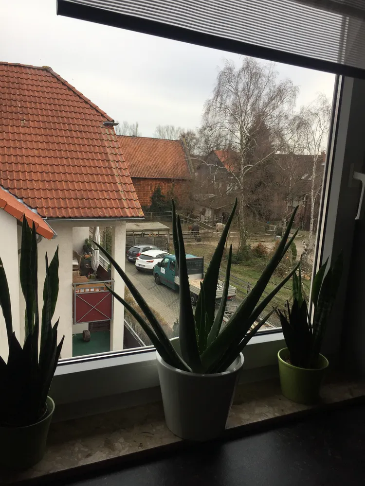 2 Zimmer Wohnung mit 50 m² in Braunschweig – Bild 11