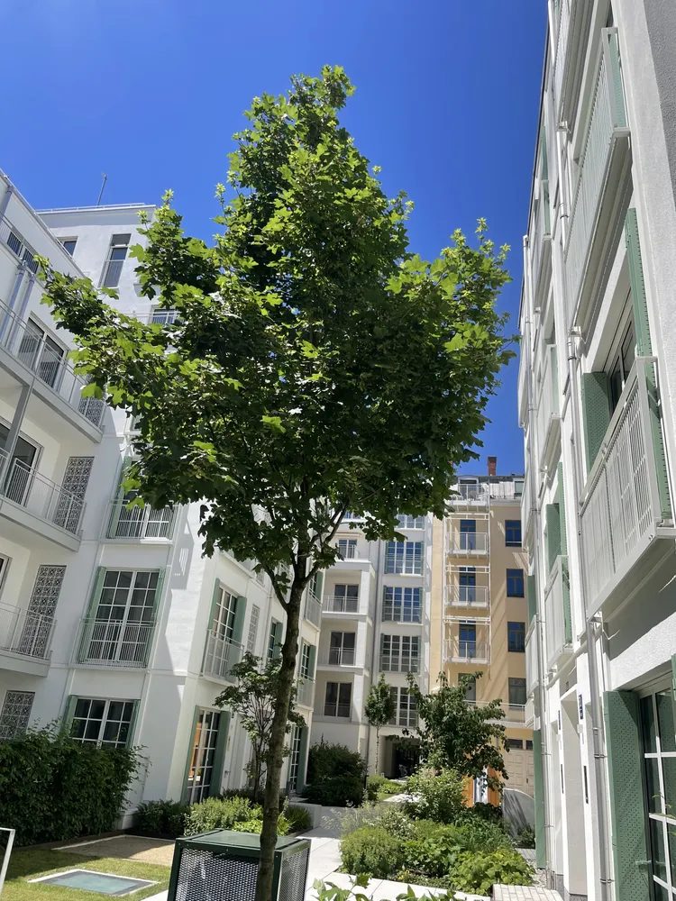 4 Zimmer Haus mit 134 m² in München – Bild 7