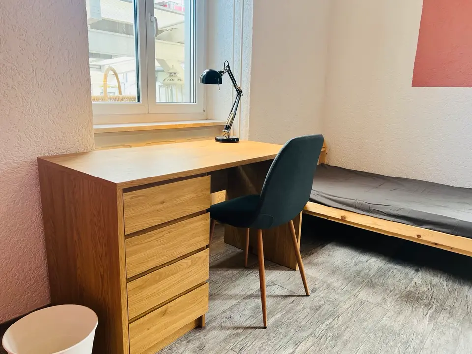 2 room apartment with 18 m² in Lörrach – Photo 7