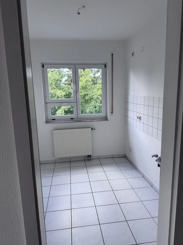2 room apartment with 47 m² in Dresden – Photo 10