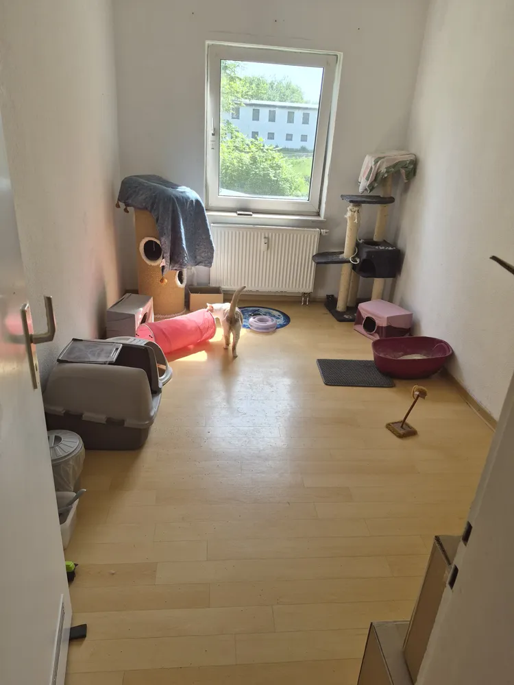 2 Zimmer Wohnung mit 50 m² in Herford – Bild 1