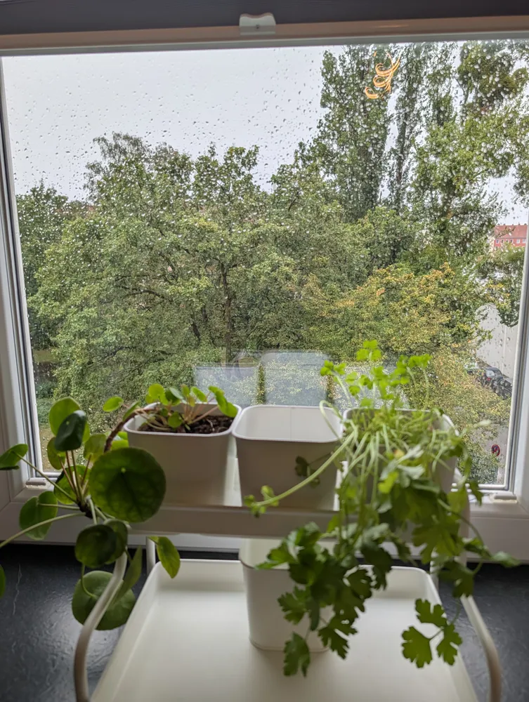 2 Zimmer Wohnung mit 53 m² in Hannover – Bild 3