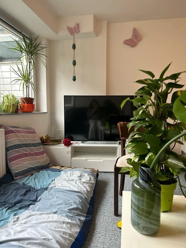 1 Zimmer Wohnung mit 30 m² in Köln – Bild 3