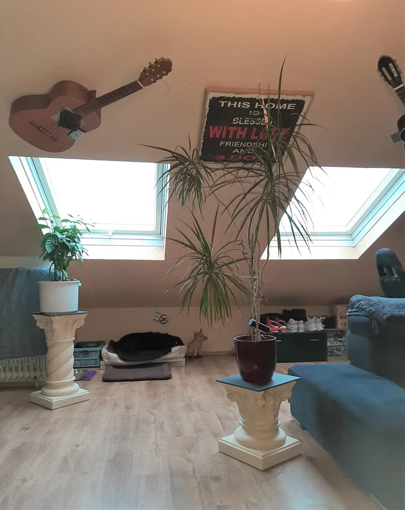 2 room apartment with 51 m² in Aachen – Photo 8